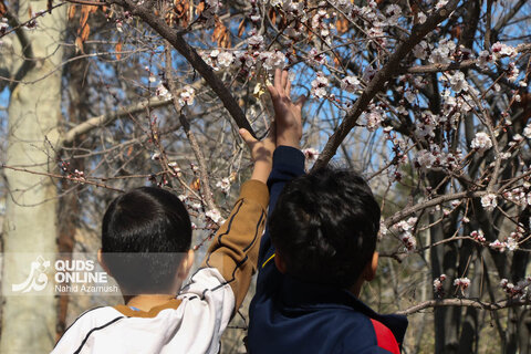 گزارش تصویری | بهار زودرس در زمستان