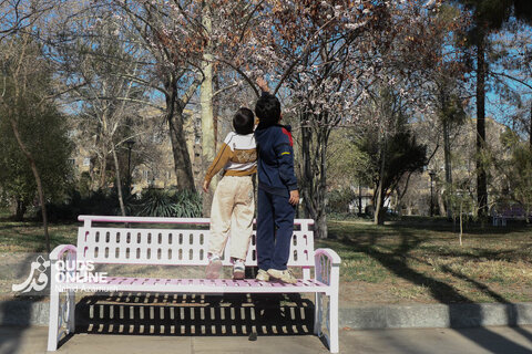 گزارش تصویری | بهار زودرس در زمستان