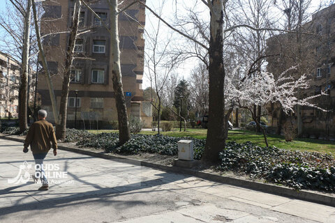 گزارش تصویری | بهار زودرس در زمستان