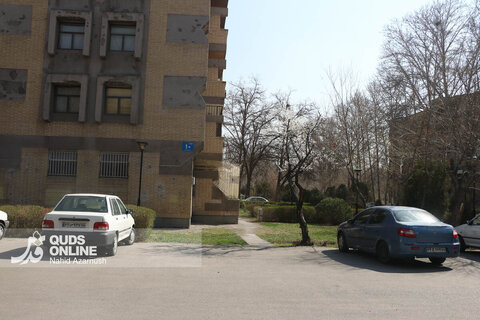 گزارش تصویری | بهار زودرس در زمستان