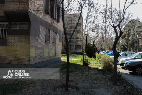 گزارش تصویری | بهار زودرس در زمستان