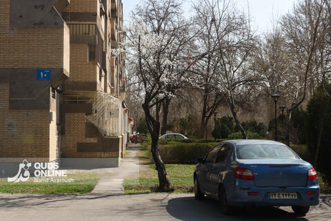 گزارش تصویری | بهار زودرس در زمستان