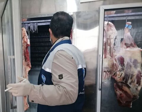 معدوم کردن ۱۳ تن دام کشتاری غیرقابل مصرف در کردستان