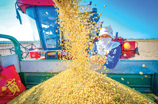 بازآرایی سبد تغذیه دام و طیور کشور
