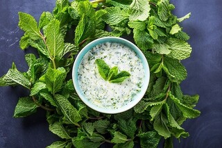 طب الرضا | بهترین روش خوردن ماست / چطور سردی ماست را کاهش دهیم؟