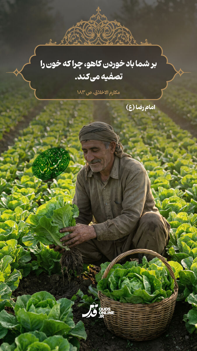 طب الرضا | امام رضا(ع) به خوردن کدام سبزی توصیه کردند؟
