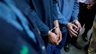 دستگیری ۳۵ نفر از مرتبطین گروهک‌های تروریستی در استان بوشهر