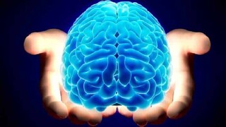 سکته مغزی؛ از علائم هشداردهنده تا راه‌های پیشگیری