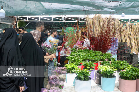 گزارش تصویری | حال‌وهوای بازار گل و گیاه مشهد در آستانه نوروز ۱۴۰۵