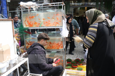 گزارش تصویری | حال‌وهوای بازار گل و گیاه مشهد در آستانه نوروز ۱۴۰۵