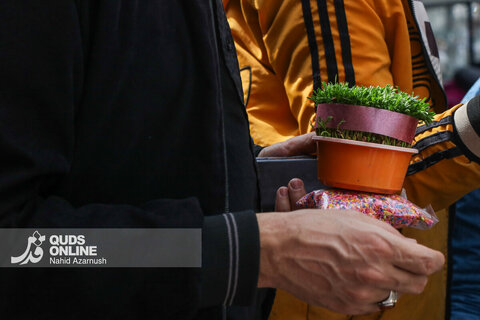 گزارش تصویری | حال‌وهوای بازار گل و گیاه مشهد در آستانه نوروز ۱۴۰۵