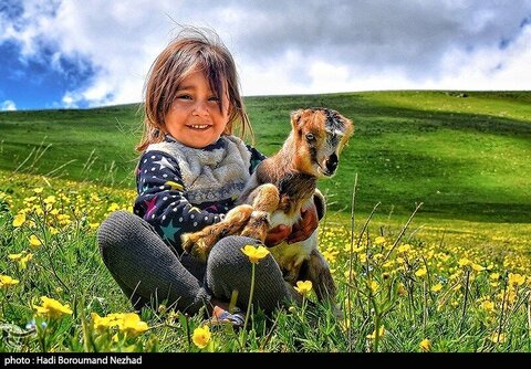عکس منتخب سال | خوی قطب تولید دانه های روغنی آفتابگردان 
شهریور ۱۴۰۴