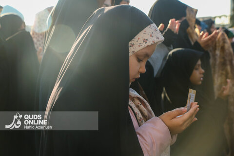 گزارش تصویری | نماز عید فطر در حرم امام رضا(ع)