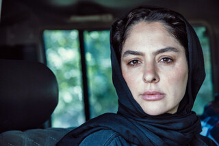 «در آغوش درخت» نماینده سینمای ایران در اسکار ۲۰۲۵ در تلویزیون