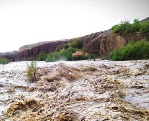 سیلاب در آبدانان خسارت به بار آورد؛ ۲۰ راس دام تلف شد