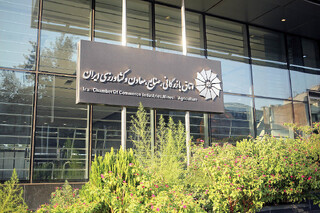 مشکل بازگشت  ۳۴۰ ایرانی هم‌وطن از دوبی حل شد
