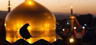 تجلی همدلی رضوی در خط مقدم امنیت شهرهای مرکزی