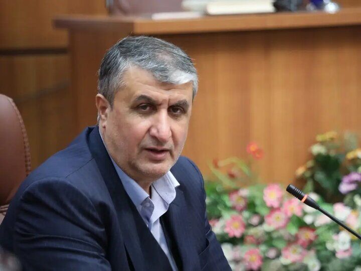 رئیس سازمان انرژی اتمی ایران: حمله به نیروگاه اتمی بوشهر مصداق جنایت جنگی است
