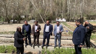 سرمایه‌گذاری ۲۸۰۰ میلیارد ریالی برای حفظ عرصه‌های طبیعی کهگیلویه و بویراحمد