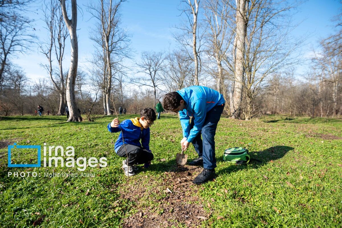 احیای ۸ هزار هکتار از جنگل‌های هیرکانی