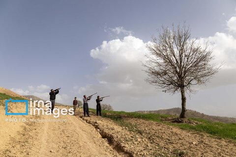 در جست و جوی خلبان آمریکایی