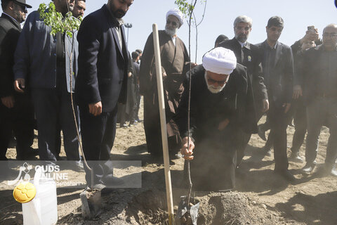 آغاز پویش ملی "نهال امید" - باغ خاتون مشهد