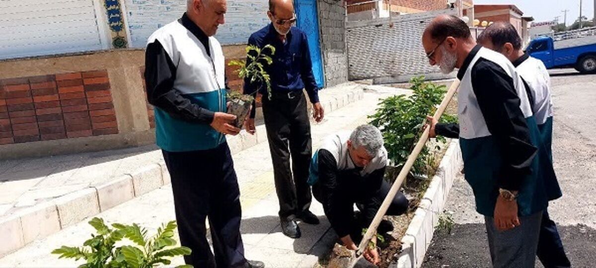 غرس «نهال امید» به نیت لاله‌های سرخ در جیرفت