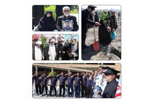 در لبیک به پیام رهبر معظم انقلاب؛ خادمان بارگاه منور رضوی ۳۰۰ «نهال امید» در باغ امام رضا (ع) کاشتند