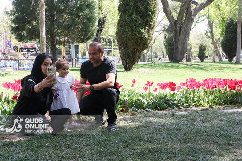 گزارش تصویری | جشنواره گل‌های لاله - مشهد
