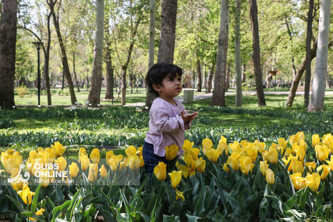 گزارش تصویری | جشنواره گل‌های لاله - مشهد
