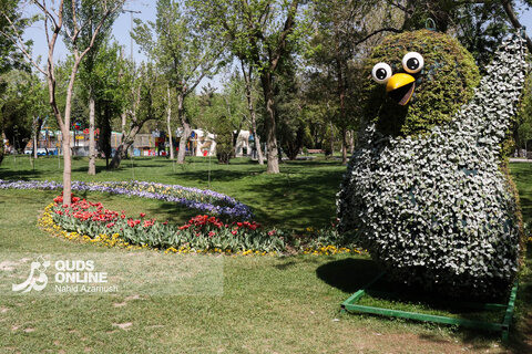گزارش تصویری | جشنواره گل‌های لاله - مشهد
