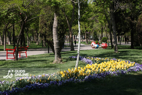 گزارش تصویری | جشنواره گل‌های لاله - مشهد