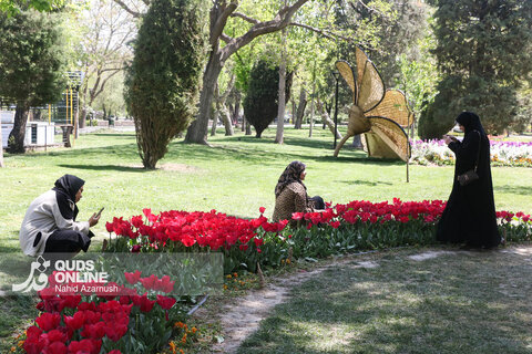 گزارش تصویری | جشنواره گل‌های لاله - مشهد