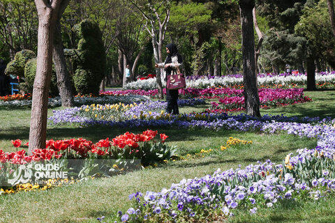 گزارش تصویری | جشنواره گل‌های لاله - مشهد