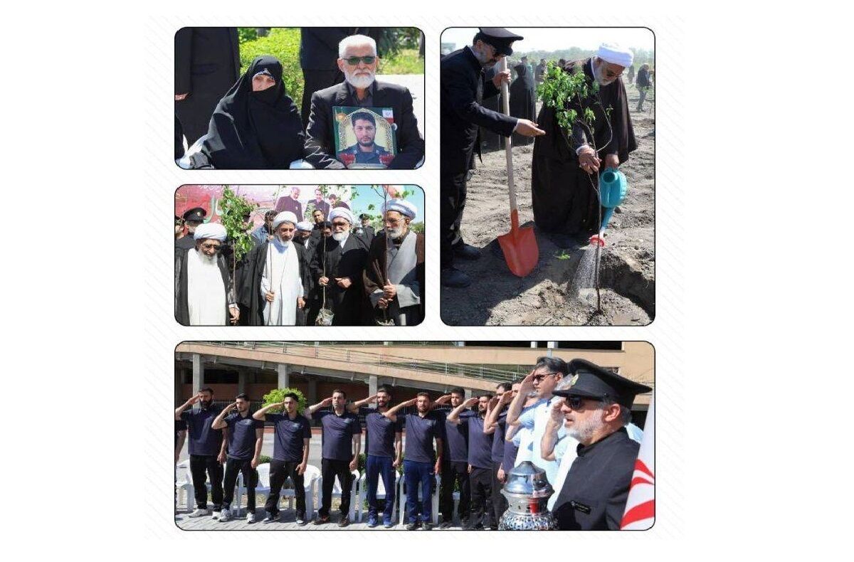 در لبیک به پیام رهبر معظم انقلاب؛ خادمان بارگاه منور رضوی ۳۰۰ «نهال امید» در باغ امام رضا (ع) کاشتند
