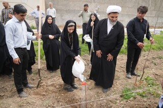 غرس ۲۳۴ نهال در موقوفه گوهرشاد؛ یادبود شهدای میناب در پویش ملی «سرو ایران»