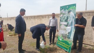 برگزاری دوازدهمین پویش «نهال امید» در بردسکن