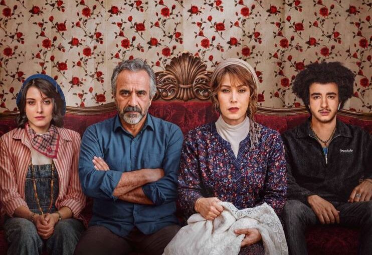 سریال عاشقانه‌ «گل سنگ» به نمایش خانگی می آید