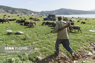 نوای دل‌انگیز کوچ ایل بار دیگر در کوهستان‌های خراسان شمالی پیچید