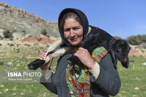 کوچ بهاری عشایر استان فارس