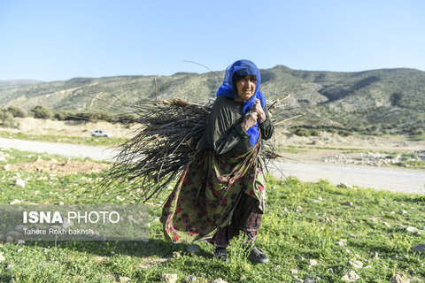 کوچ بهاری عشایر استان فارس