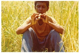 اکران «باشو، غریبه کوچک» بهرام بیضایی در سینماهای آمریکای شمالی / فیلمی که هزینه واقعی جنگ را یادآوری می‌کند