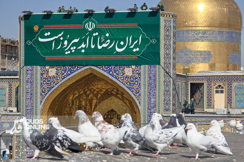 عکس | تصاویری از فضا آرایی حرم مطهر رضوی در آغاز دهه کرامت