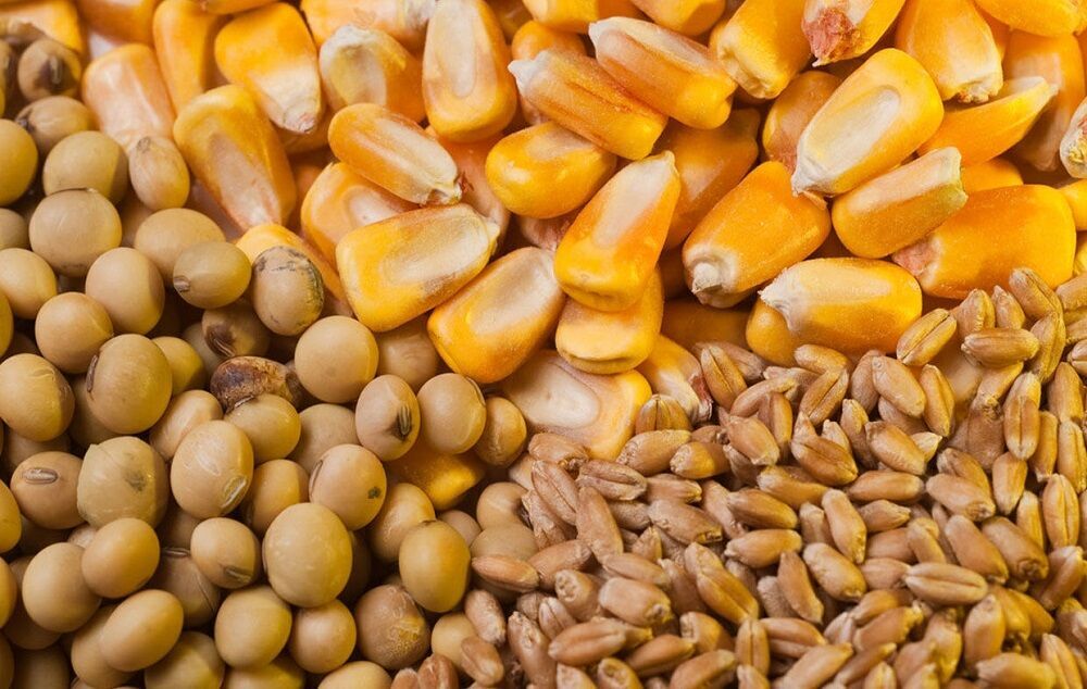 وزارت جهاد: تولیدکنندگان نگران نهاده نباشند