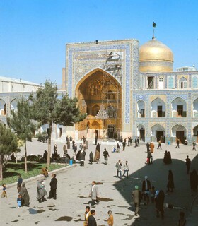 خاطره‌بازی با درخت‌های کاج صحن نو (آزادی)