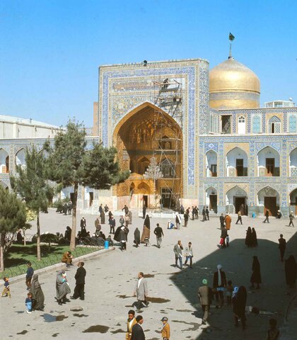 خاطره‌بازی با درخت‌های کاج صحن نو (آزادی)