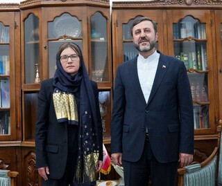 معاون امور حقوقی و بین‌المللی وزارت امور خارجه: نمی‌توان برخی از دولت‌های همسایه را بی‌طرف محسوب کرد