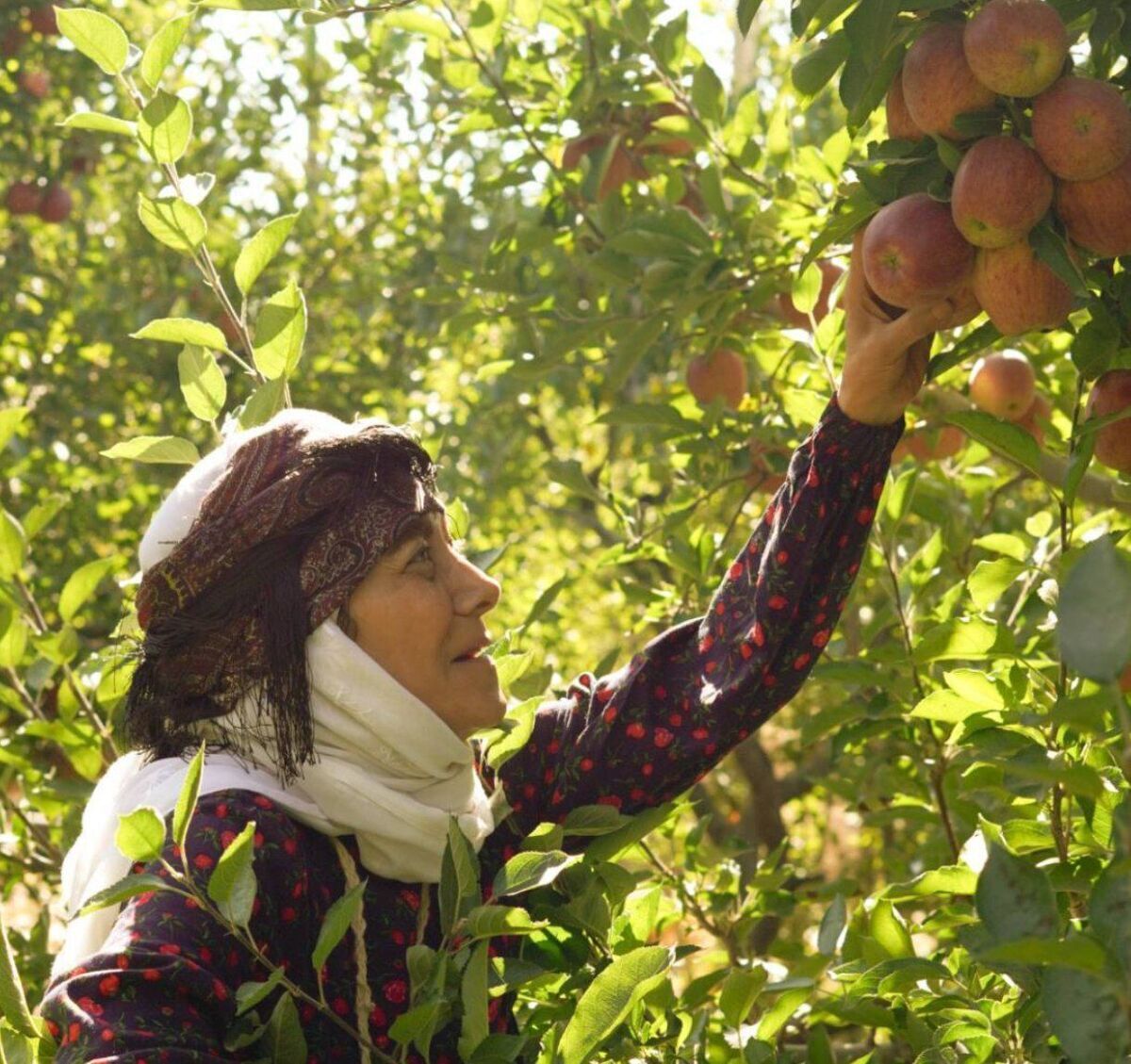 «مادران» روی آنتن شبکه یک؛ روایت الهام‌بخش از صبر و استقامت زنان