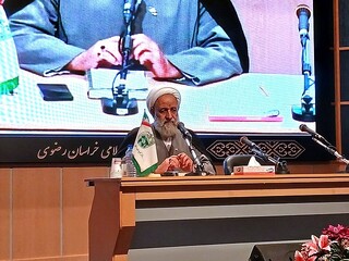 استاد حوزه علمیه مشهد: وحدت بر مدار ولایت، فرمول شکست‌ناپذیری در سیره رضوی است