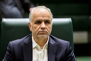 وزیر دادگستری: سلب تابعیت حامیان جنگ در خارج فعلاً در دستور کار نیست